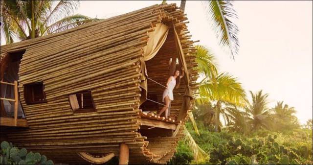 daily picdump 100 pics 31.html - 100 HD Photos | Premium Gallery 2017