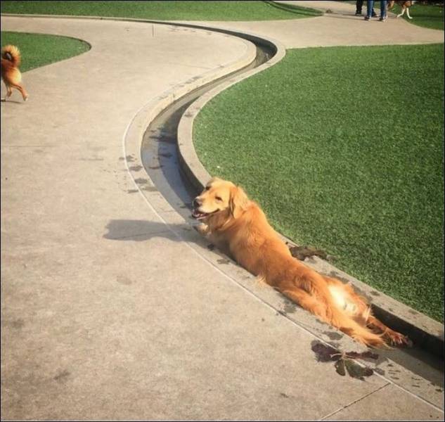 daily picdump 100 pics 31.html - 100 HD Photos | Premium Gallery 2017