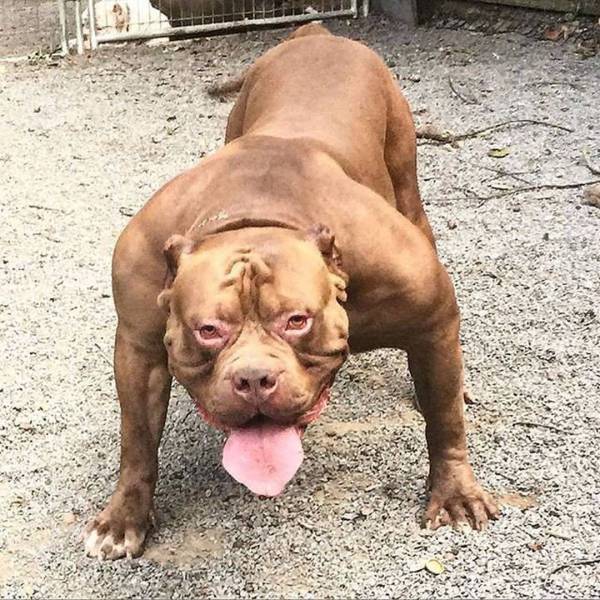 daily picdump 100 pics 31.html - 100 HD Photos | Premium Gallery 2017