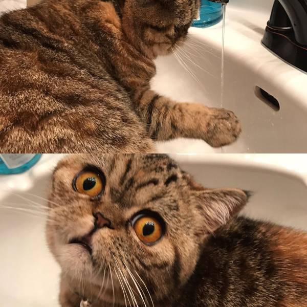 daily picdump 100 pics 31.html - 100 HD Photos | Premium Gallery 2017