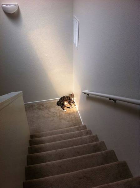 Daily Picdump [WEEKEND EDITION]