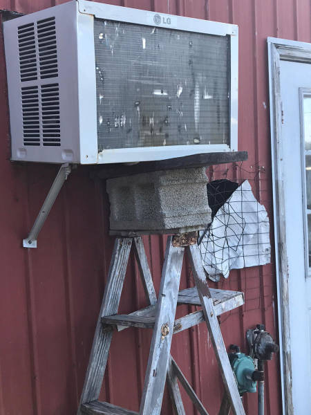 morning picdump 52 pics 6.html - 52 HD Photos | Premium Gallery 2017