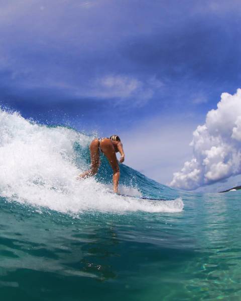 grownup corner 62 pics 10 gifs 35.html - 62 HD GIF | Premium Gallery 2017