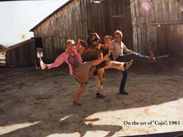 daily picdump weekend edition 75 pics 4.html - 75 HD Photos | Premium Gallery 2017