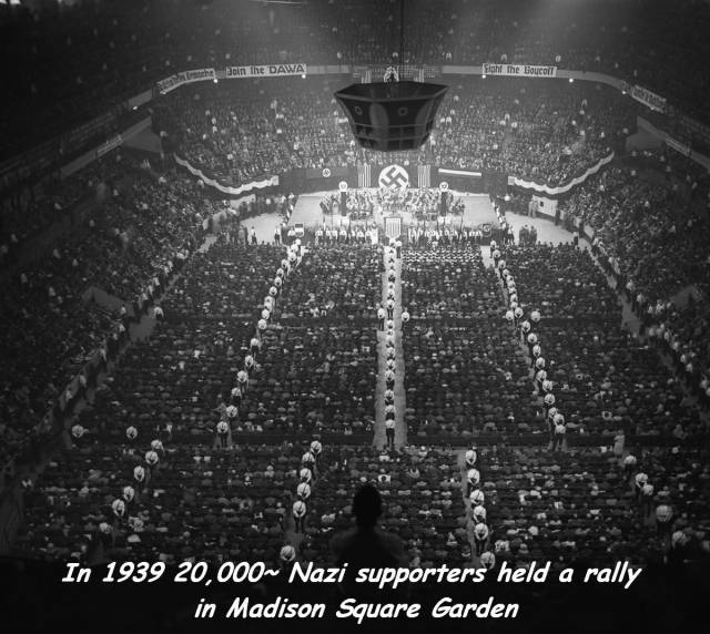 daily picdump weekend edition 75 pics 4.html - 75 HD Photos | Premium Gallery 2017