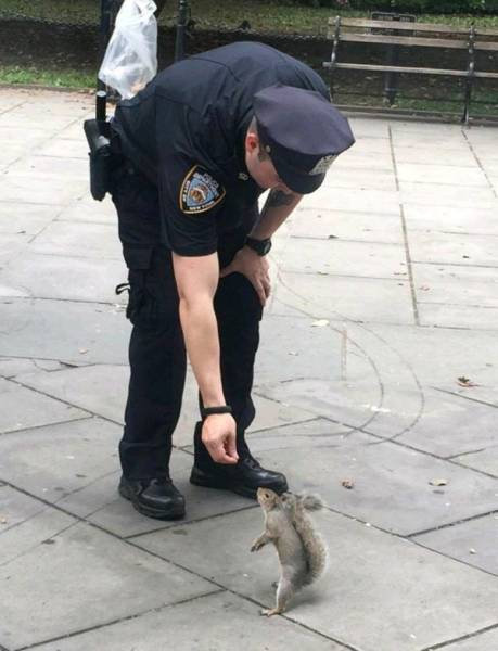 daily picdump weekend edition 75 pics 4.html - 75 HD Photos | Premium Gallery 2017