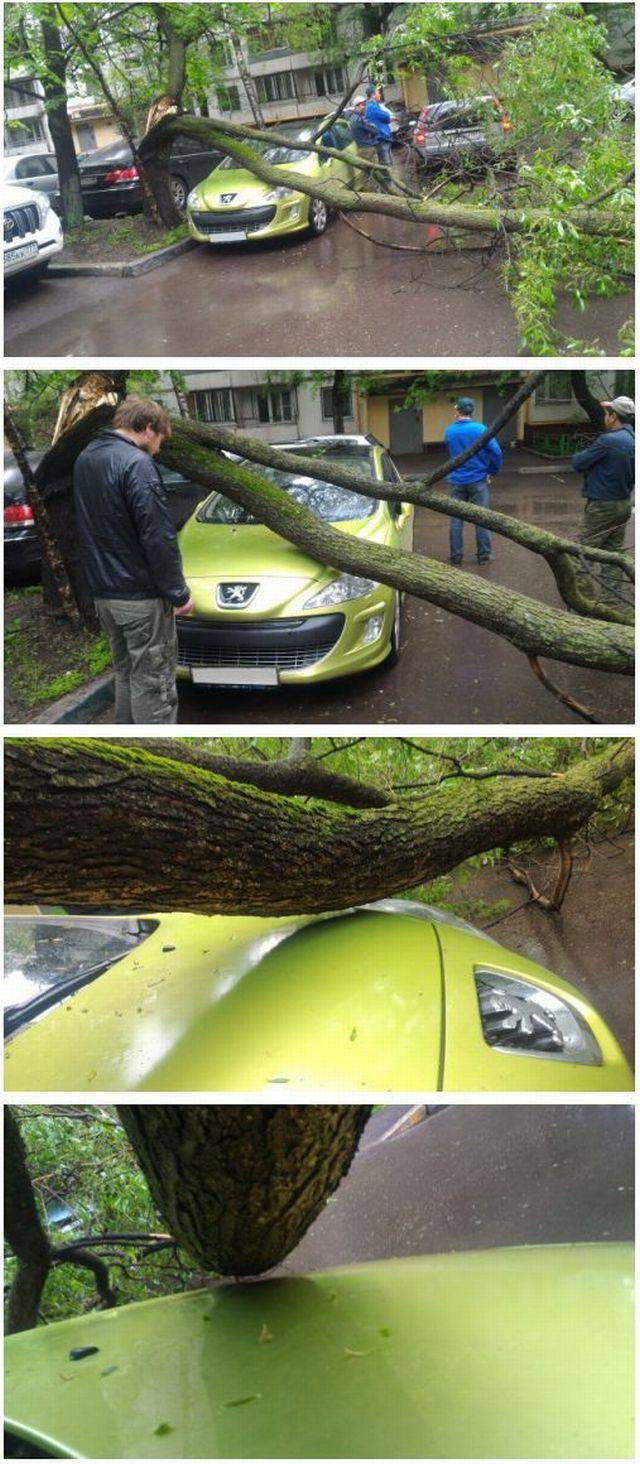 daily picdump weekend edition 75 pics 4.html - 75 HD Photos | Premium Gallery 2017