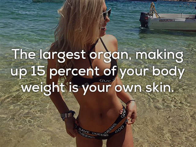 Is Everything Of This Really About Our Skin?!