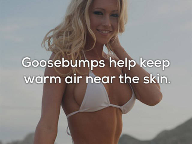 Is Everything Of This Really About Our Skin?!