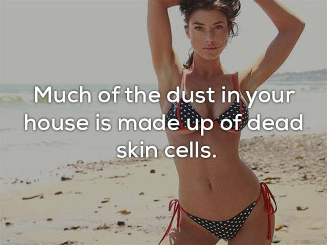 Is Everything Of This Really About Our Skin?!