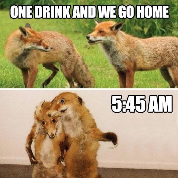 Funny Picdump