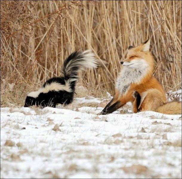 Daily Picdump