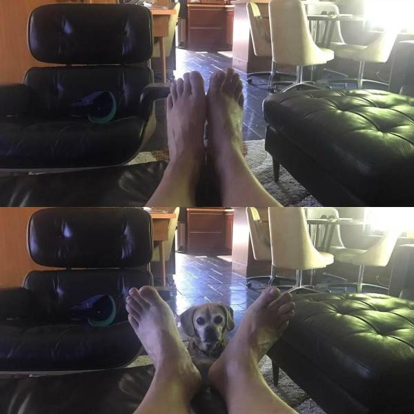 daily picdump 100 pics 22.html - 100 HD Photos | Premium Gallery 2017