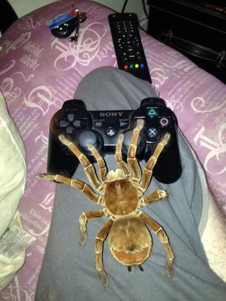 daily picdump 100 pics 22.html - 100 HD Photos | Premium Gallery 2017
