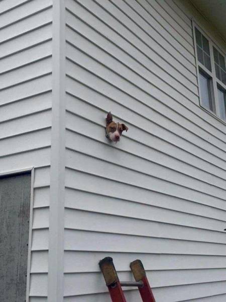 daily picdump 100 pics 22.html - 100 HD Photos | Premium Gallery 2017