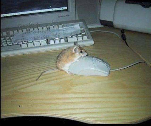 Daily Picdump