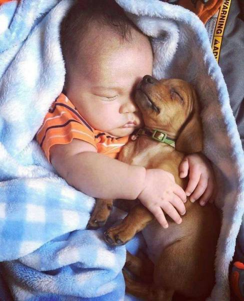 daily picdump weekend edition 55 pics 13.html - 55 HD Photos | Premium Gallery 2017