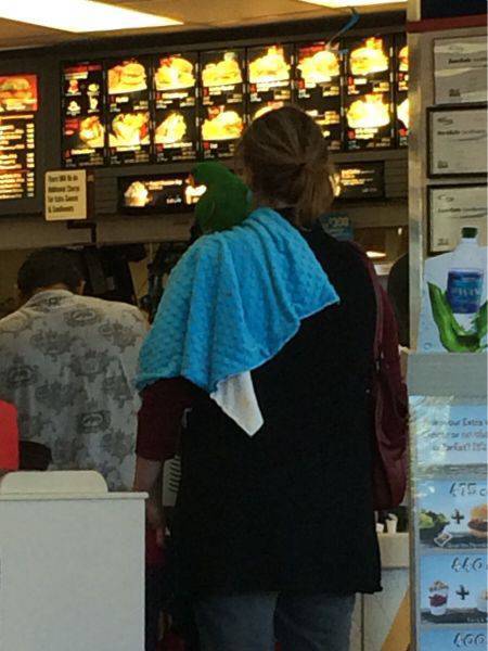 morning picdump 50 pics 21.html - 50 HD Photos | Premium Gallery 2017