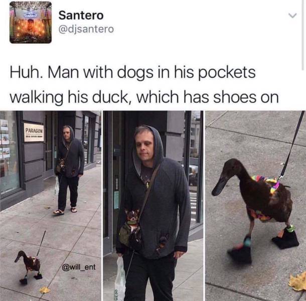 daily picdump 96 pics 3.html - 96 HD Photos | Premium Gallery 2017