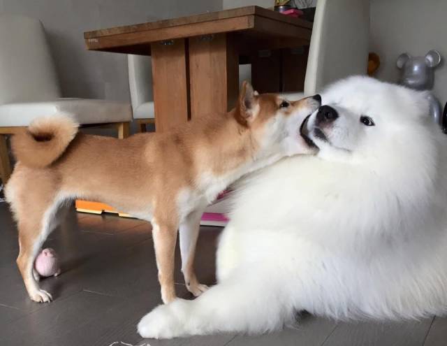 daily picdump 96 pics 3.html - 96 HD Photos | Premium Gallery 2017