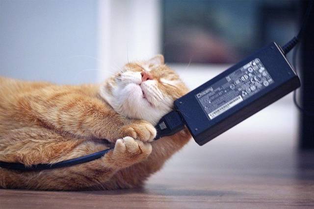 daily picdump 96 pics 3.html - 96 HD Photos | Premium Gallery 2017