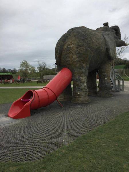 daily picdump 95 pics 7.html - 95 HD Photos | Premium Gallery 2017