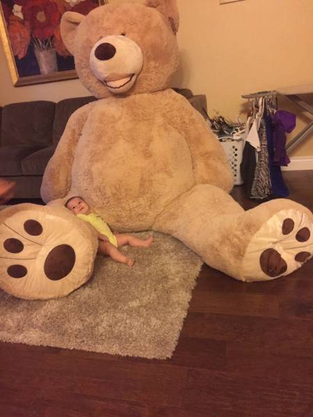 daily picdump 95 pics 7.html - 95 HD Photos | Premium Gallery 2017