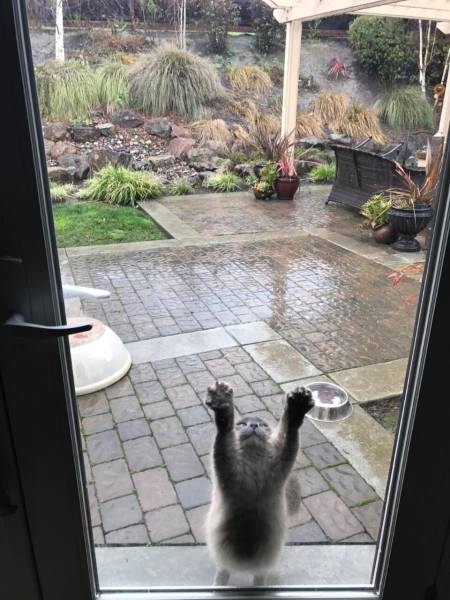 daily picdump 95 pics 7.html - 95 HD Photos | Premium Gallery 2017