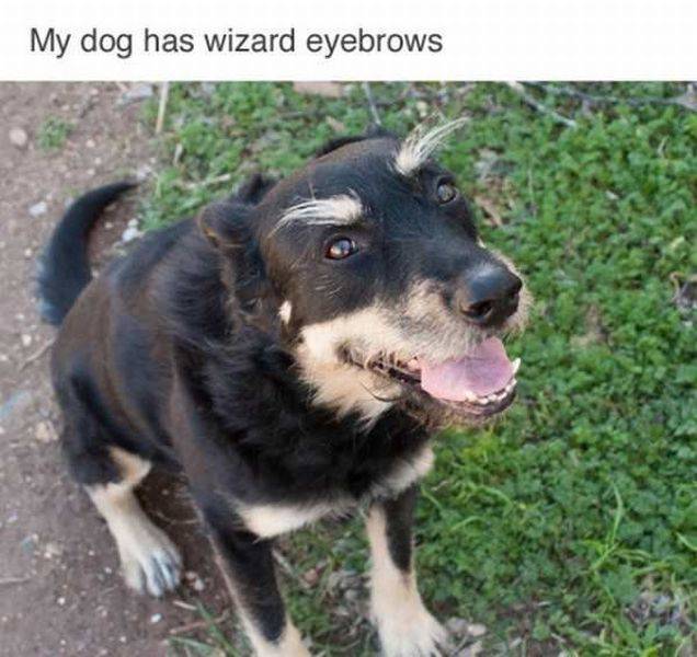 daily picdump 95 pics 7.html - 95 HD Photos | Premium Gallery 2017