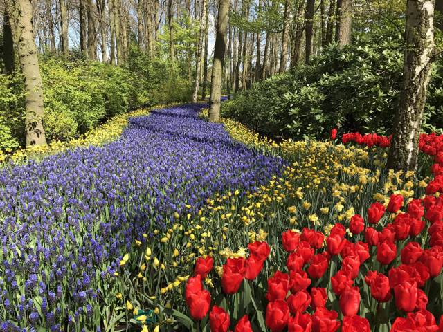 morning picdump 51 pics 6.html - 51 HD Photos | Premium Gallery 2017