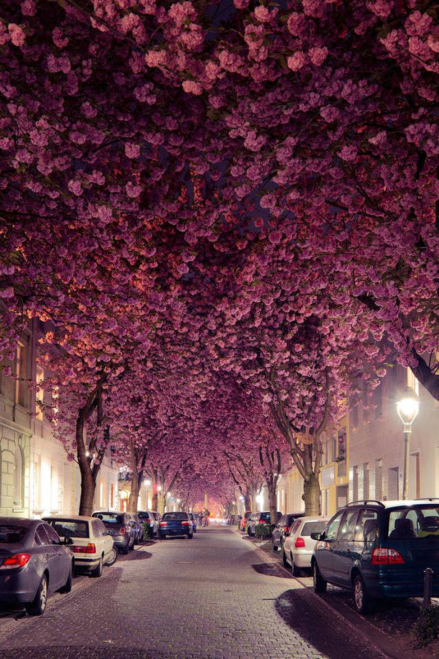 morning picdump 51 pics 6.html - 51 HD Photos | Premium Gallery 2017