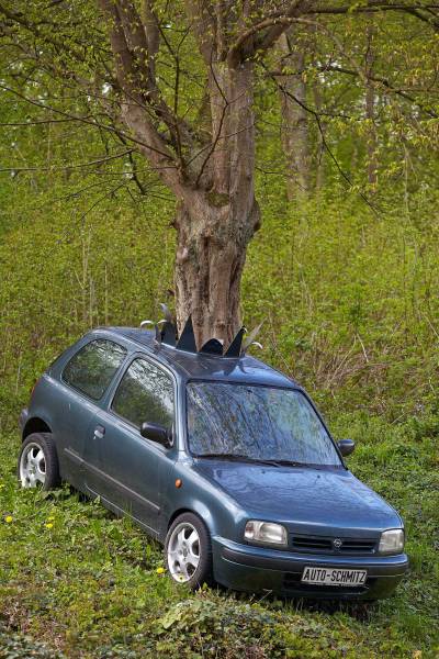 Daily Picdump