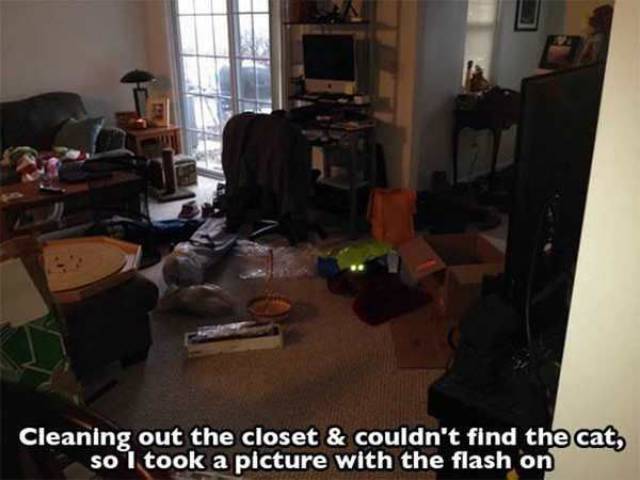 Daily Picdump
