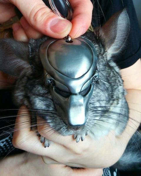 Daily Picdump