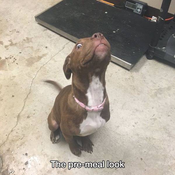 daily picdump 97 pics 37.html - 97 HD Photos | Premium Gallery 2017