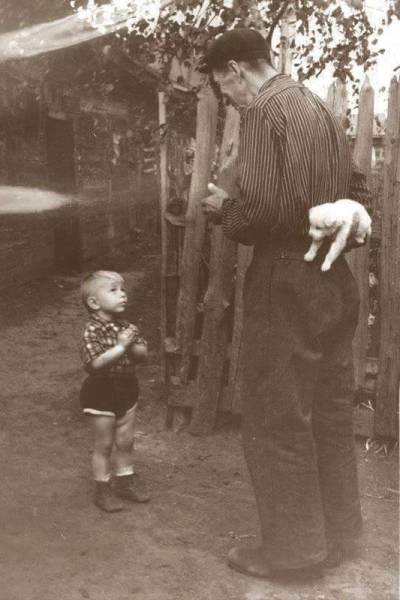 daily picdump weekend edition 51 pics 19.html - 51 HD Photos | Premium Gallery 2017