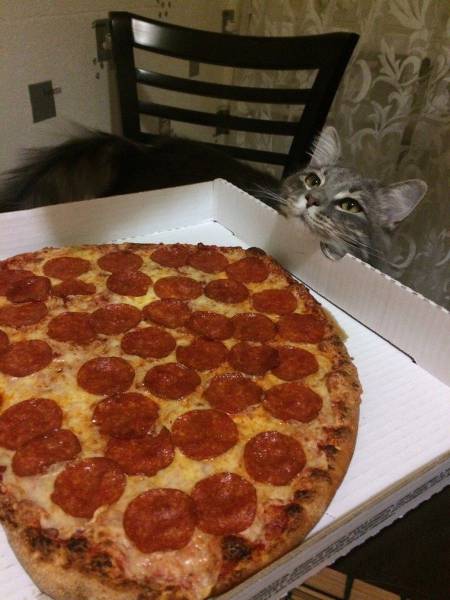daily picdump 104 pics 2.html - 104 HD Photos | Premium Gallery 2017