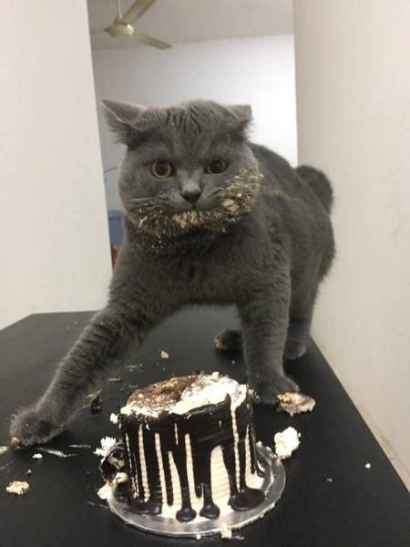 daily picdump 104 pics 2.html - 104 HD Photos | Premium Gallery 2017