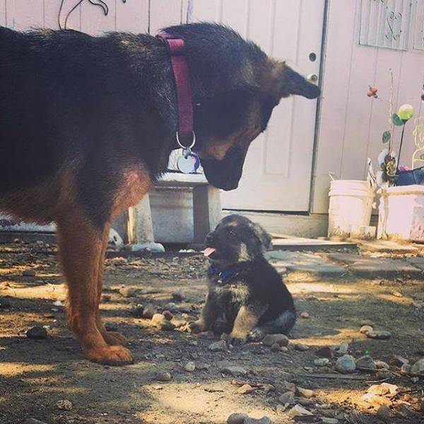 morning picdump 50 pics 9.html - 50 HD Photos | Premium Gallery 2017