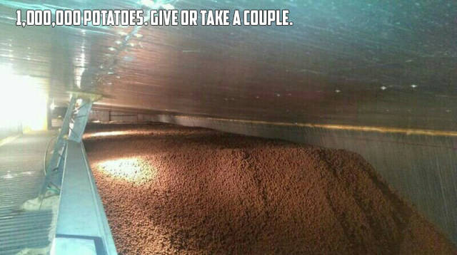 morning picdump 50 pics 9.html - 50 HD Photos | Premium Gallery 2017