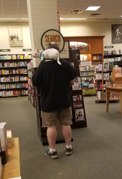 morning picdump 50 pics 9.html - 50 HD Photos | Premium Gallery 2017