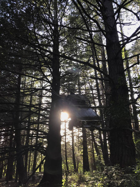 morning picdump 50 pics 9.html - 50 HD Photos | Premium Gallery 2017