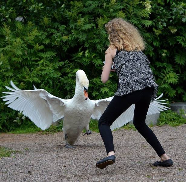 Daily Picdump
