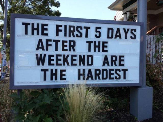 Daily Picdump [WEEKEND EDITION]