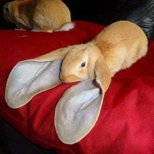 morning picdump 52 pics 10.html - 52 HD Photos | Premium Gallery 2017