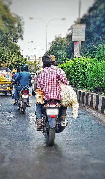 daily picdump weekend edition 53 pics 8.html - 53 HD Photos | Premium Gallery 2017