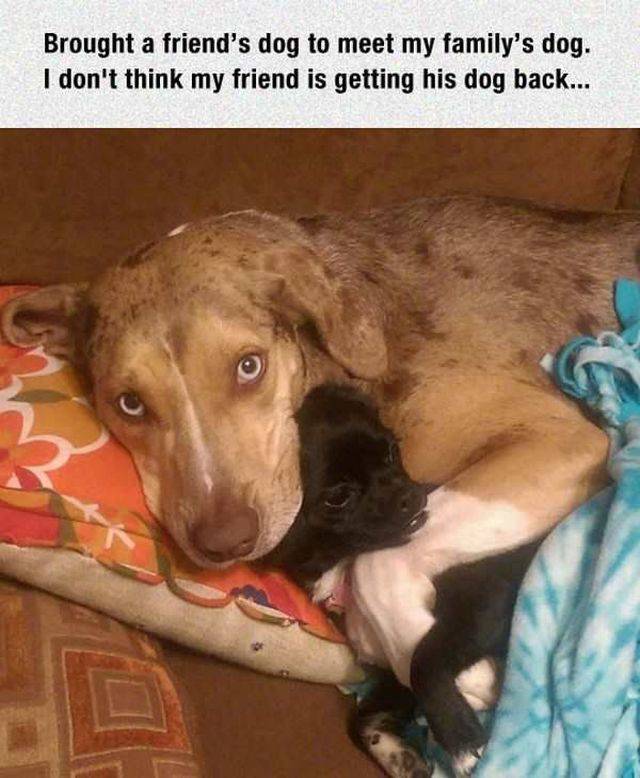 daily picdump 94 pics 21.html - 94 HD Photos | Premium Gallery 2017