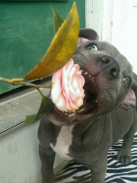 morning picdump 50 pics 5.html - 50 HD Photos | Premium Gallery 2017