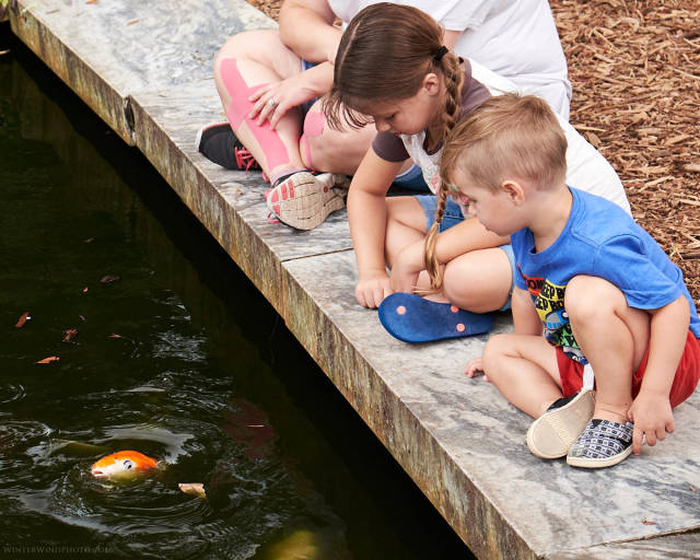 morning picdump 50 pics 5.html - 50 HD Photos | Premium Gallery 2017