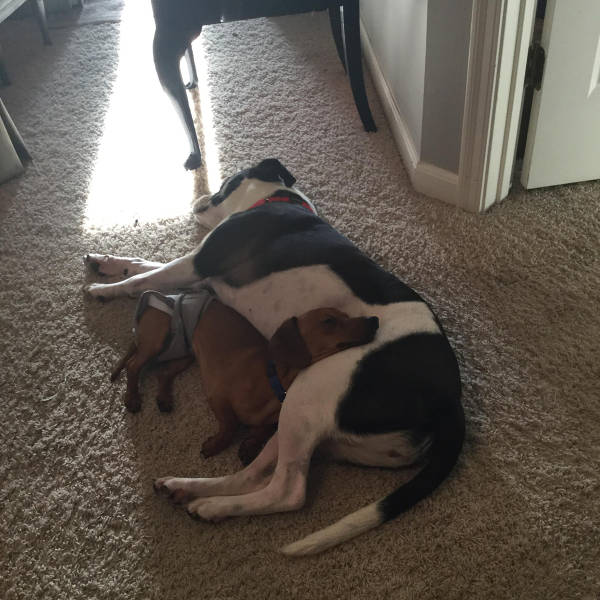 morning picdump 50 pics 5.html - 50 HD Photos | Premium Gallery 2017